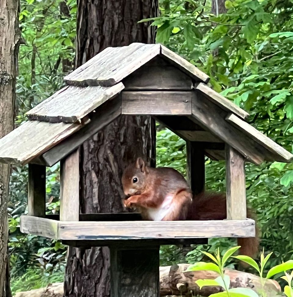 vakantiehuis bij lilse bergen