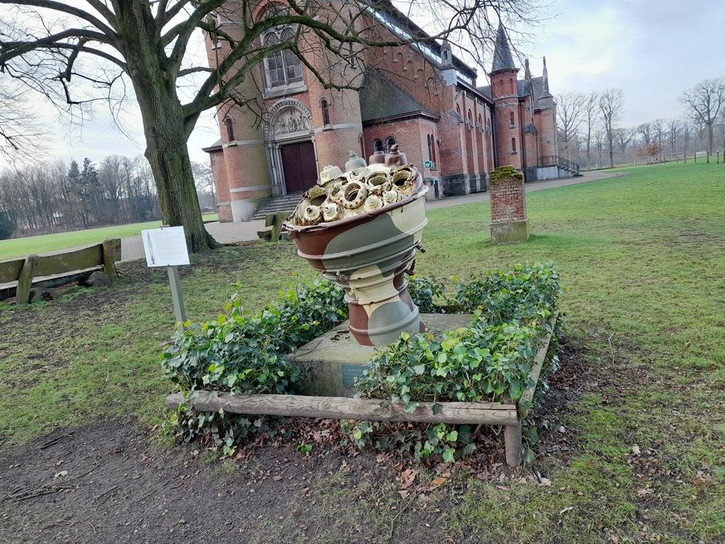 watervogels spotten